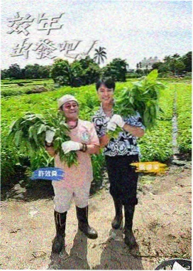 周末开麦 456影院脱口秀综艺在线观看